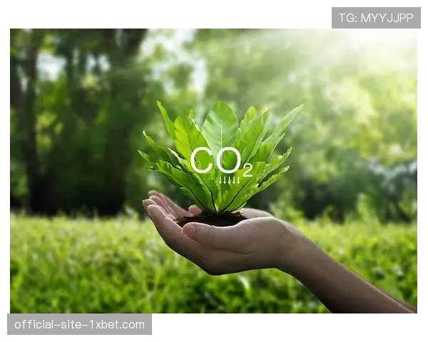 体育赛事绿色运营采用AI碳核算 可持续发展水平获认证